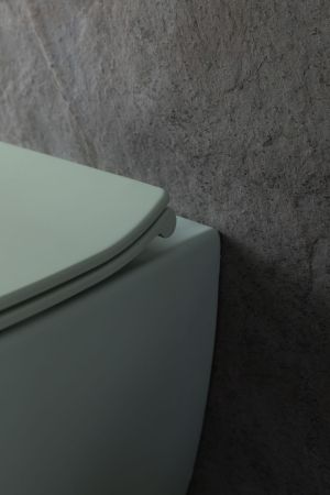 Чаша подвесного унитаза Allen Brau Fantasy 4.11004.MT мятный, артикул 4.11004.MT