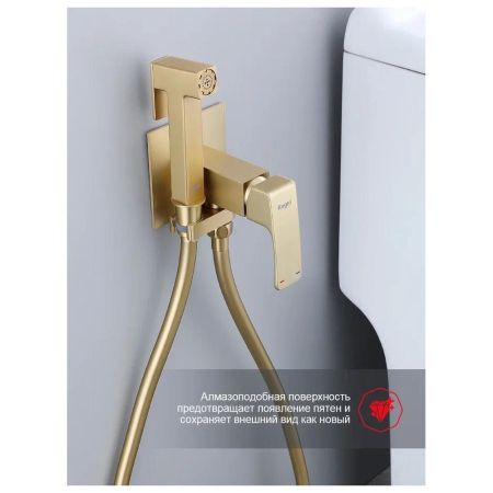 Гигиенический душ со смесителем встраиваемый Raglo R02.54.03, сатин золотой