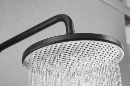 Душевая система с термостатом Rose R3996H, черный