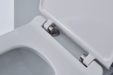 Унитаз SSWW CT2040 подвесной с сиденьем Микролифт