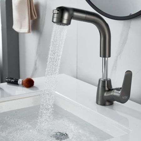 Смеситель для раковины многофункциональный Raffine F291T, оружейная сталь, артикул F291T