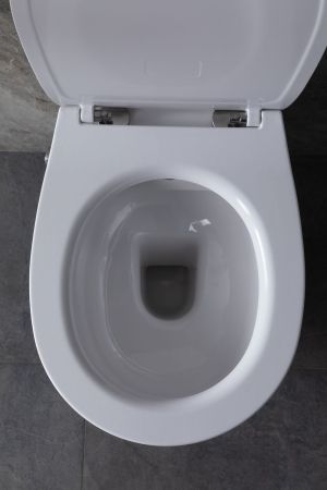 Чаша подвесного унитаза Allen Brau Fantasy 4.11HC1.20 белый глянец, артикул 4.11HC1.20