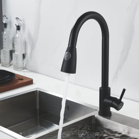 Смеситель для кухни с выдвижным изливом Raffine F213H, черный