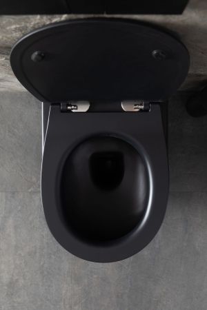Чаша подвесного унитаза Allen Brau Reality 4.32006.31 черный матовый, артикул 4.32006.31