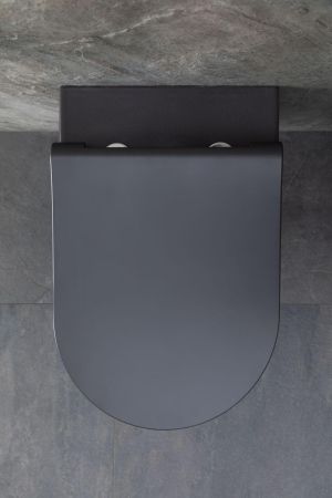 Чаша подвесного унитаза Allen Brau Priority 4.31001.AN антрацит, артикул 4.31001.AN