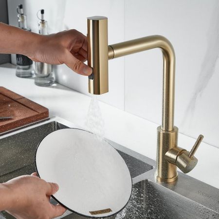 Смеситель для кухни с мультифункциональным изливом Raffine F203G, золотой сатин