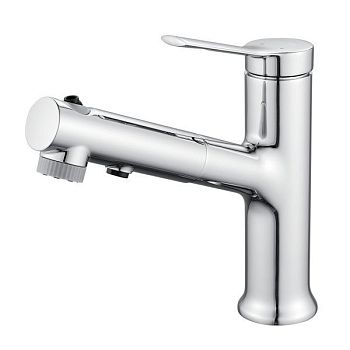 Смеситель для раковины многофункциональный Raffine F281, хром