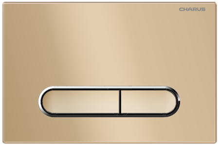 Клавиша для инсталляции CHARUS TM,
Серия: MAGNUS
Материал: Пластик ABS+Хромированные кольца
Тип: Механический
Размер: 245*165*12,1
Цвет: Матовый песок, артикул FP.340.51.01