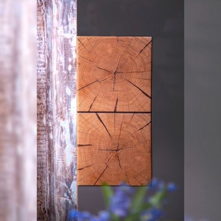 Тумба под раковину Бриклаер Форест 50 подвесная Антрацит со вставкой Пенёк