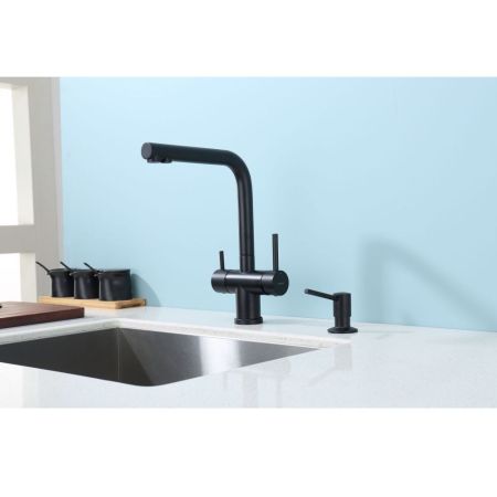 Кухонный диспенсер для моющего средства Raglo R720.01.06, черный