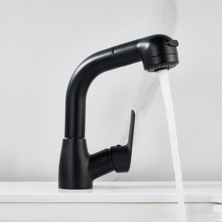 Смеситель для раковины многофункциональный Raffine F291H, черный, артикул F291H