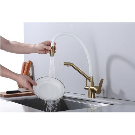 Смеситель для кухни с подключением фильтра Raglo R80.62.03, золотой сатин