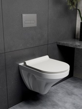 Клавиша смыва Knotlor BIS101GM, вороненая сталь, артикул BIS101GM