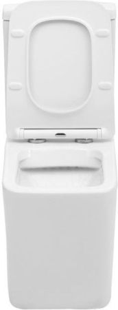 Чаша напольного унитаза Aquanet Rimless Tavr-C1 BL-103N-TPT, артикул TAVR-C1