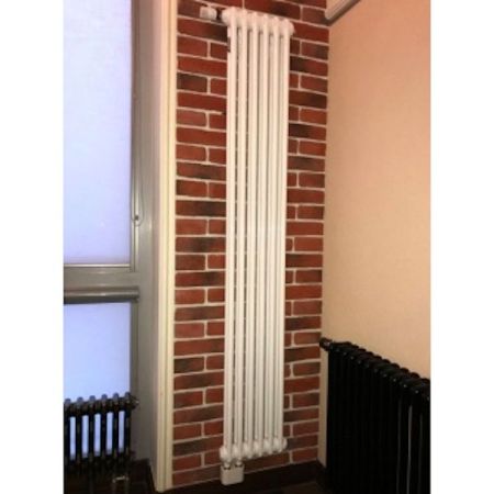 Стальной радиатор Arbonia 2180/06 N69 твв 6 секций с нижним подключением