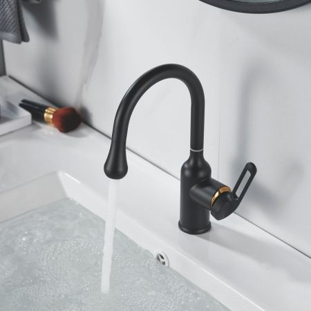 Смеситель для раковины Raffine F101H, черный