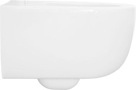 Чаша подвесного унитаза Allen Brau Priority 4.31002.20 белый глянец, артикул 4.31002.20
