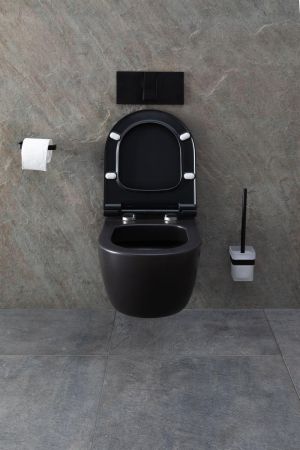 Чаша подвесного унитаза Allen Brau Priority 4.31001.31 черный матовый, артикул 4.31001.31