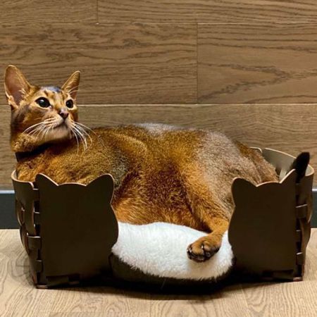 ADJ Лежанка Cat, 60x42xH15 см., цвет: капучино/шоколад, артикул 1560C.04/06