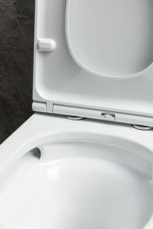 Чаша напольного унитаза Allen Brau Priority Tornado 4.31006.20 белый глянец