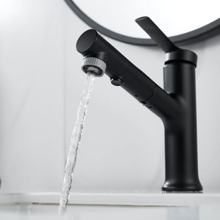 Смеситель для раковины многофункциональный Raffine F281H, черный, артикул F281H