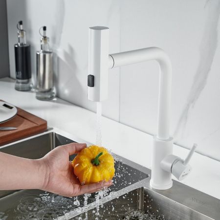 Смеситель для кухни с мультифункциональным изливом Raffine F203C, белый