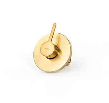 Emmevi Filobrass, однорычажный (со стержнем) встраиваемый смеситель для душа, цвет зачищенное золото