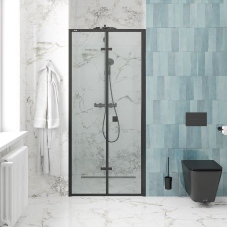 Дверь BELLA D91B душевая в нишу Cerutti SPA (90х195), артикул BELLA D91B