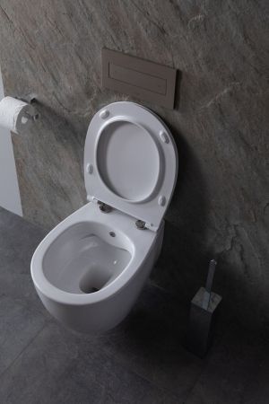 Чаша подвесного унитаза Allen Brau Fantasy 4.11HC1.20 белый глянец, артикул 4.11HC1.20