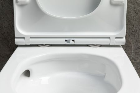 Чаша подвесного унитаза Allen Brau Priority Tornado 4.31009.20 белый глянец, артикул 4.31009.20