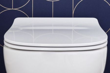 Сиденье для унитаза JACOB DELAFON STRUKTURA E20606-00 (микролифт, быстросъемное, тонкое, дюропласт, , шт, артикул E20606-00