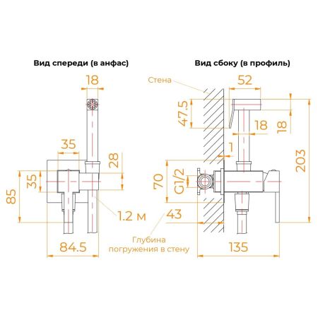 Гигиенический душ со смесителем RGW SP-212Gr