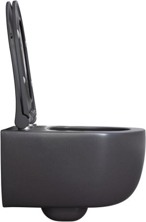 Чаша подвесного унитаза Allen Brau Priority 4.31002.AN антрацит, артикул 4.31002.AN