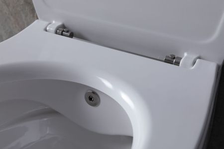 Чаша подвесного унитаза Allen Brau Fantasy 4.11HC1.20 белый глянец, артикул 4.11HC1.20