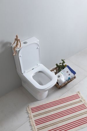 Чаша унитаза Aquanet Fine Rimless FINE-C Soft Close, артикул FINE-C