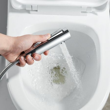 Гигиенический душ со смесителем Raffine F0596-1, хром