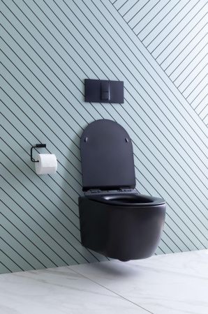 Унитаз подвесной Aquanet Rimless Cetus-BW BL-102N-WHT, артикул CETUS-BW