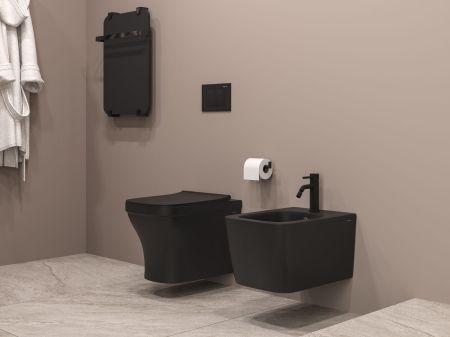 Клавиша смыва Allen Brau Liberty 9.20002.31 черный матовый, артикул 9.20002.31