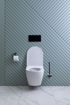 Унитаз подвесной Aquanet Rimless Cetus 2.0 W LX-1901, артикул Cetus 2.0 W