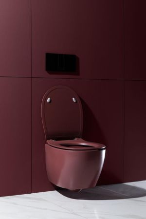 Чаша подвесного унитаза Allen Brau Fantasy 4.11004.BD бордо, артикул 4.11004.BD