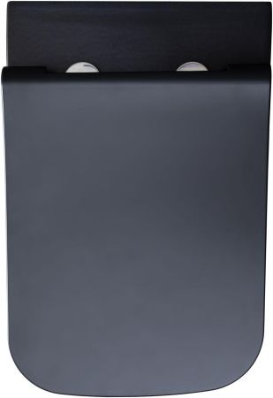 Чаша подвесного унитаза Allen Brau Infinity 4.21011.31 черный матовый, артикул 4.21011.31