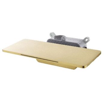 Встраиваемый излив с полкой Raglo R473.62.03, золотой сатин