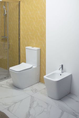 Чаша напольного унитаза Aquanet Rimless Tavr-C1 BL-103N-TPT, артикул TAVR-C1