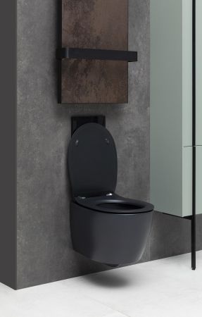 Чаша подвесного унитаза Allen Brau Fantasy 4.11004.31 черный матовый, артикул 4.11004.31