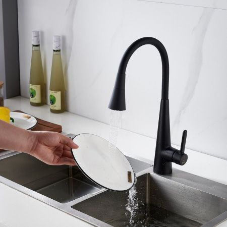 Смеситель для кухни с гибким изливом и режимом "душ" Rose R213H, черный