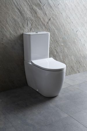 Чаша напольного унитаза Allen Brau Priority 4.31003.20 белый, артикул 4.31003.20