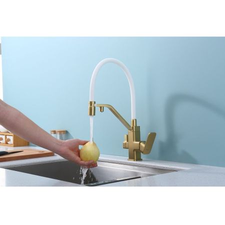 Смеситель для кухни с подключением фильтра Raglo R85.62.03, золотой сатин