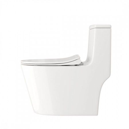 Унитаз напольный Maretti Florenza безободковый с микролифтом, FL10MNBM17-844, белый