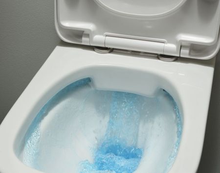 Унитаз подвесной JACOB DELAFON VOX EDM102-00 Rim 50*36 (белый), шт