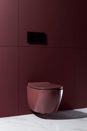 Чаша подвесного унитаза Allen Brau Fantasy 4.11004.BD бордо, артикул 4.11004.BD